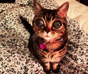 �����-�������������